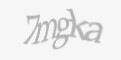 Código de segurança