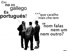 Galego ou Português