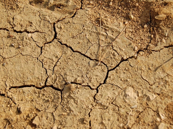 Conferência sobre as secas na África alerta para os impactos do clima no continente