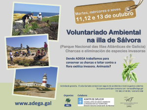 Adega organiza campo de voluntariado ambiental para eliminar flora invasora em Sálvora