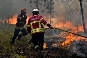 PCP exige soluções contra os incêndios