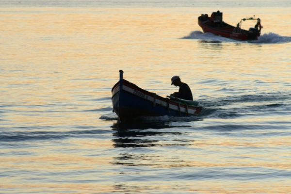 Pequena pesca contra sistema de pontos