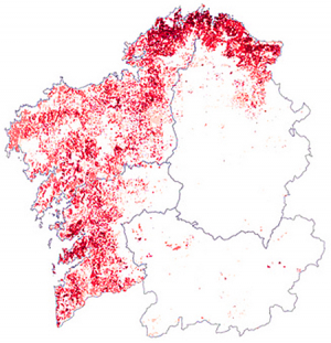 Mapa da presença de eucalipto na Galiza