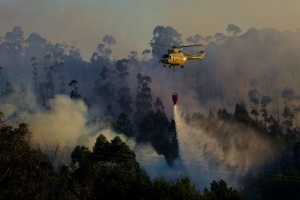 Incêndio em Ponte Caldelas, no verao de 2013.