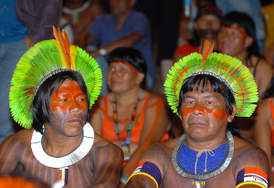 Audiência pública na Comissão de Direitos Humanos e Legislação Participativa do Senado aborda os direitos dos povos indígenas.