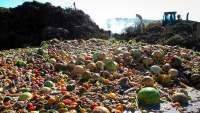 Desperdício de alimentos em um mundo com fome