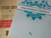 O padrom galego reintegracionista: após trinta anos, cheio de vida, pleno de potencialidades