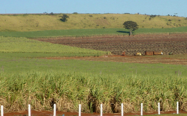 Área ocupada por latifúndio cresceu 372% no Brasil nos últimos 30 anos