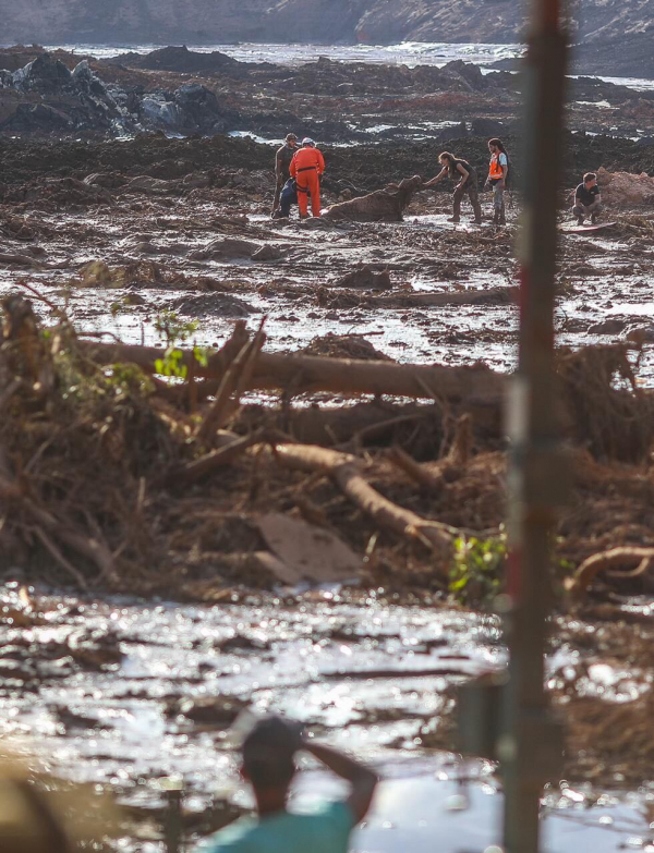 Brumadinho: A tragédia de um país enlameado pelos abutres-vampiros da mineração