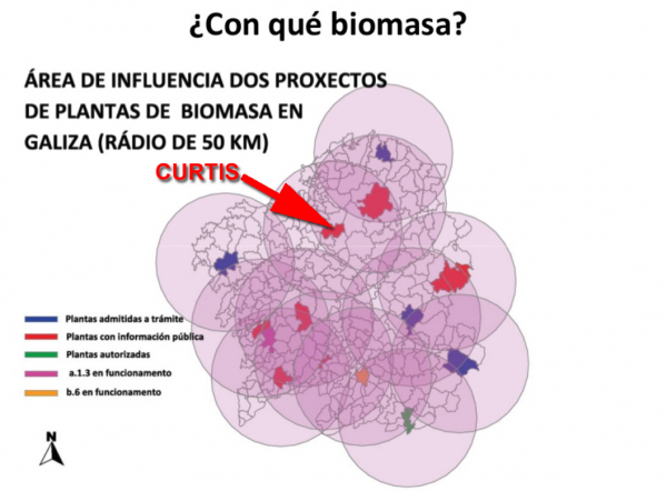 Junta da Galiza tramita planta de biomassa para queimar eucalipto que seria ilegal