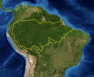 Presença militar estadunidense na amazônia brasileira é crime de alta traição