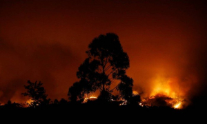 Sem mudanças estruturais, o drama dos incêndios irá repetir-se