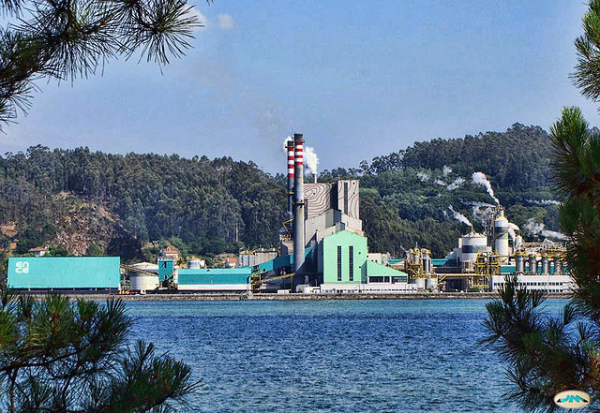 Planta da ENCE em Ponte Vedra, que também é contestada nas alegaçons dos grupos ecologistas