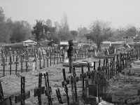 Pátio 29 do Cemitério Geral de Santiago, onde corpos e identidades de presos políticos desaparecidos e executados foram escondidos, durante ditadura