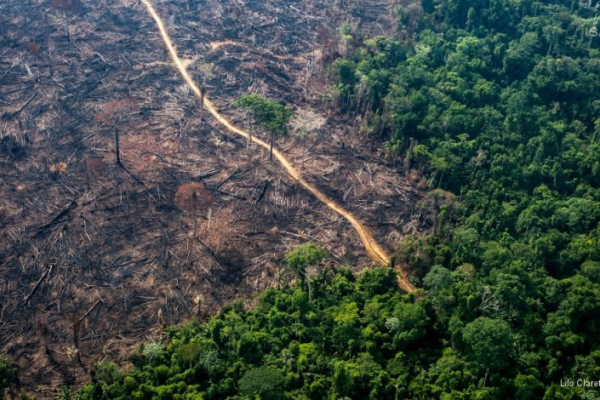 Com a «oferta» da Amazónia aos EUA, Bolsonaro põe futuro dos indígenas em risco