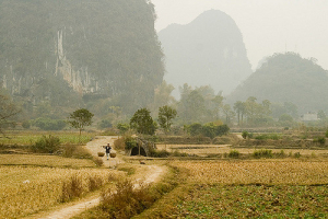 A China e o seu campesinato