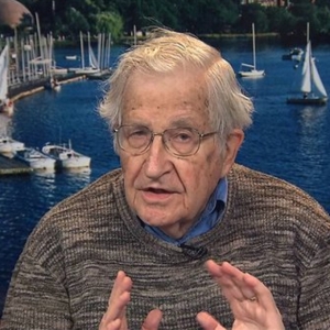 Chomsky: O Brasil está sofrendo um golpe brando