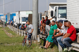 Da desinformação, dos desejos e da história