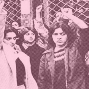 Os comunistas iranianos e as liçons da revoluçom de 1978