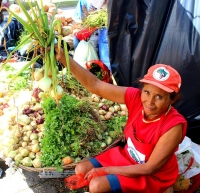 Espírito Santo recebe a I Feira Capixaba de Produtos da Reforma Agrária