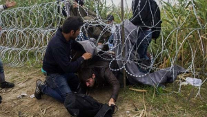 Greve de fome de refugiados contra os maus tratos na Hungria