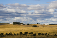 O latifundismo hoje – posse e uso da terra no Alentejo